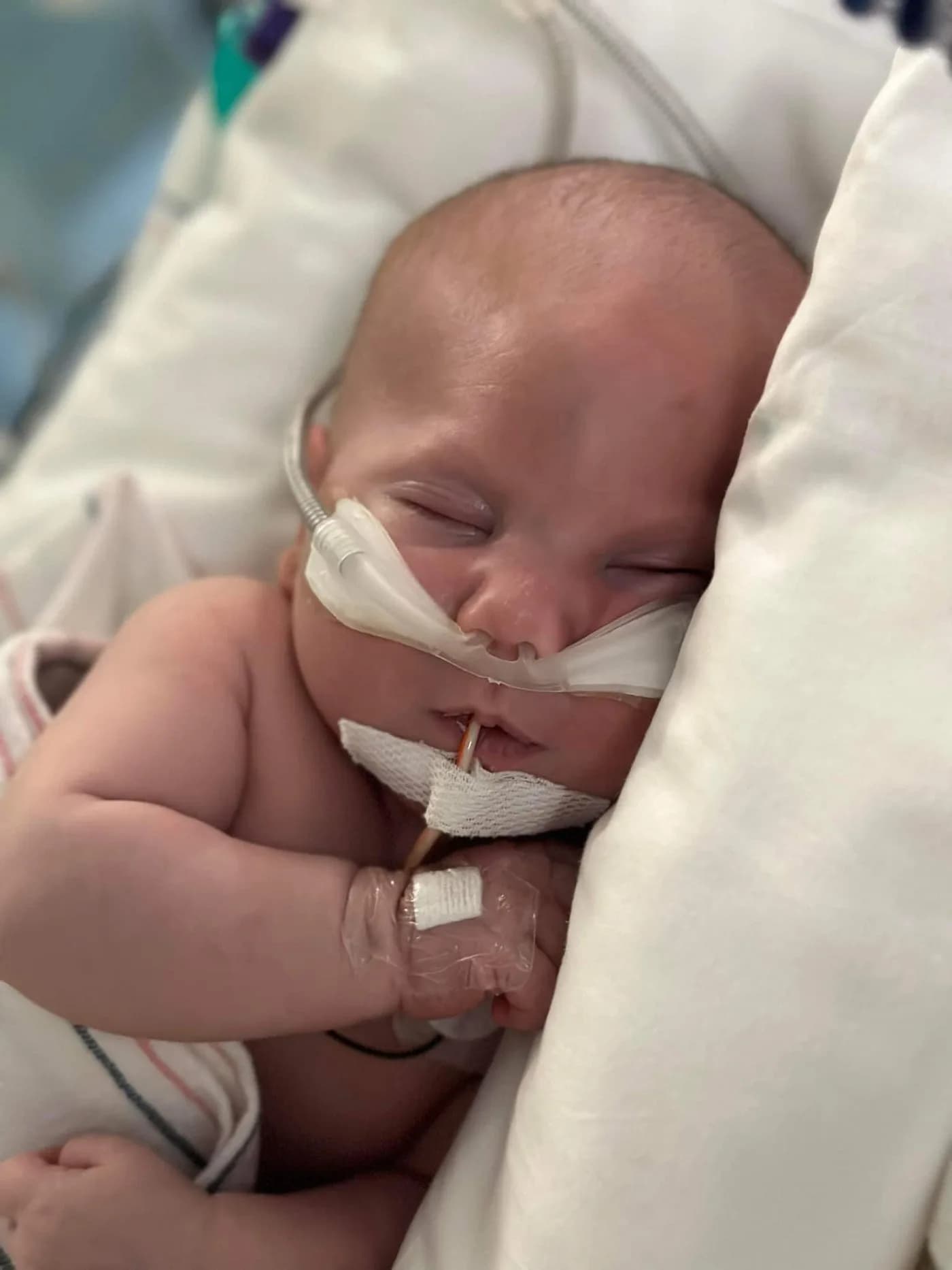 CHAMP celebrates $1 million milestone